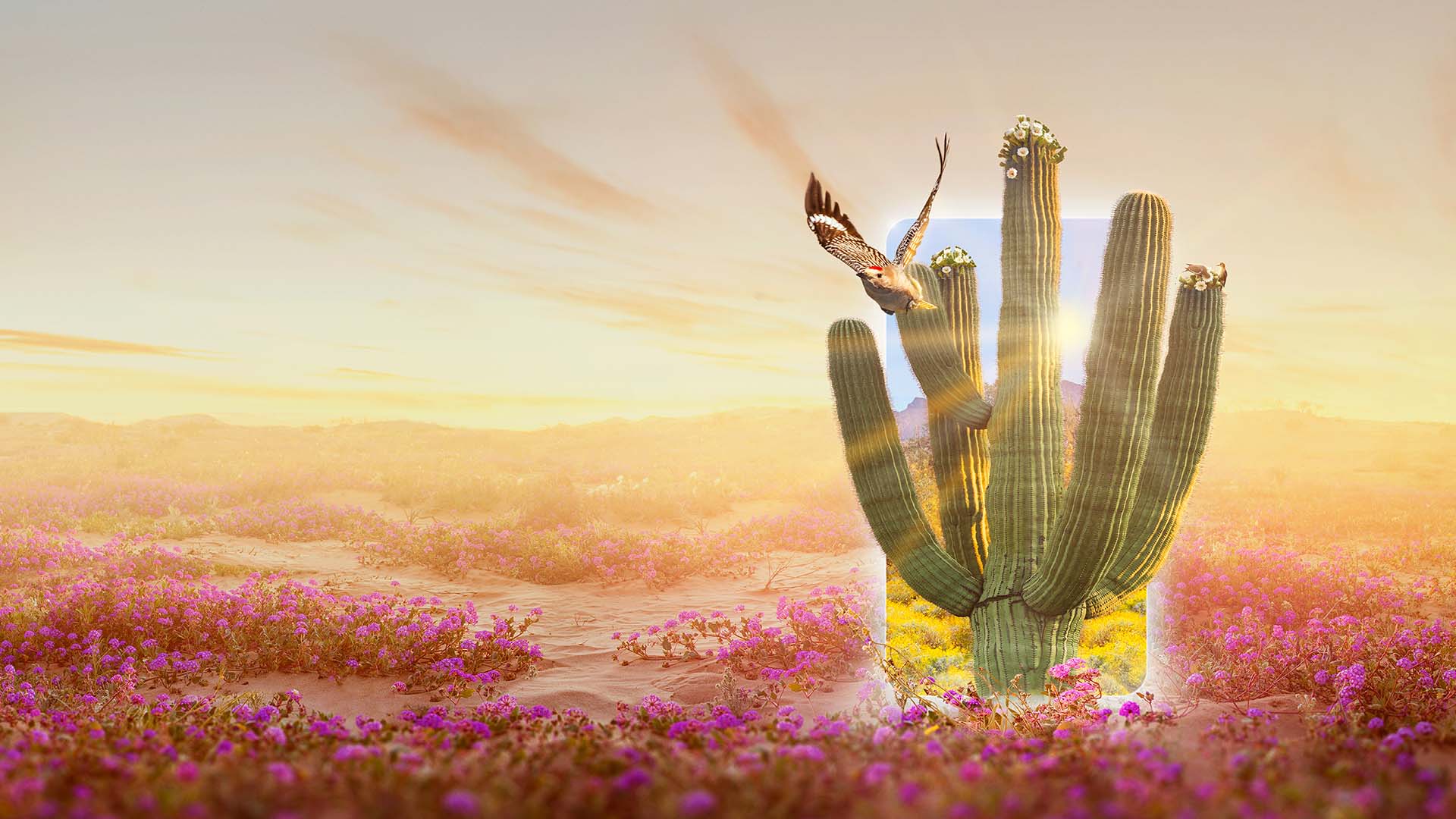 Bird flying past holographic cactus in field of flowers