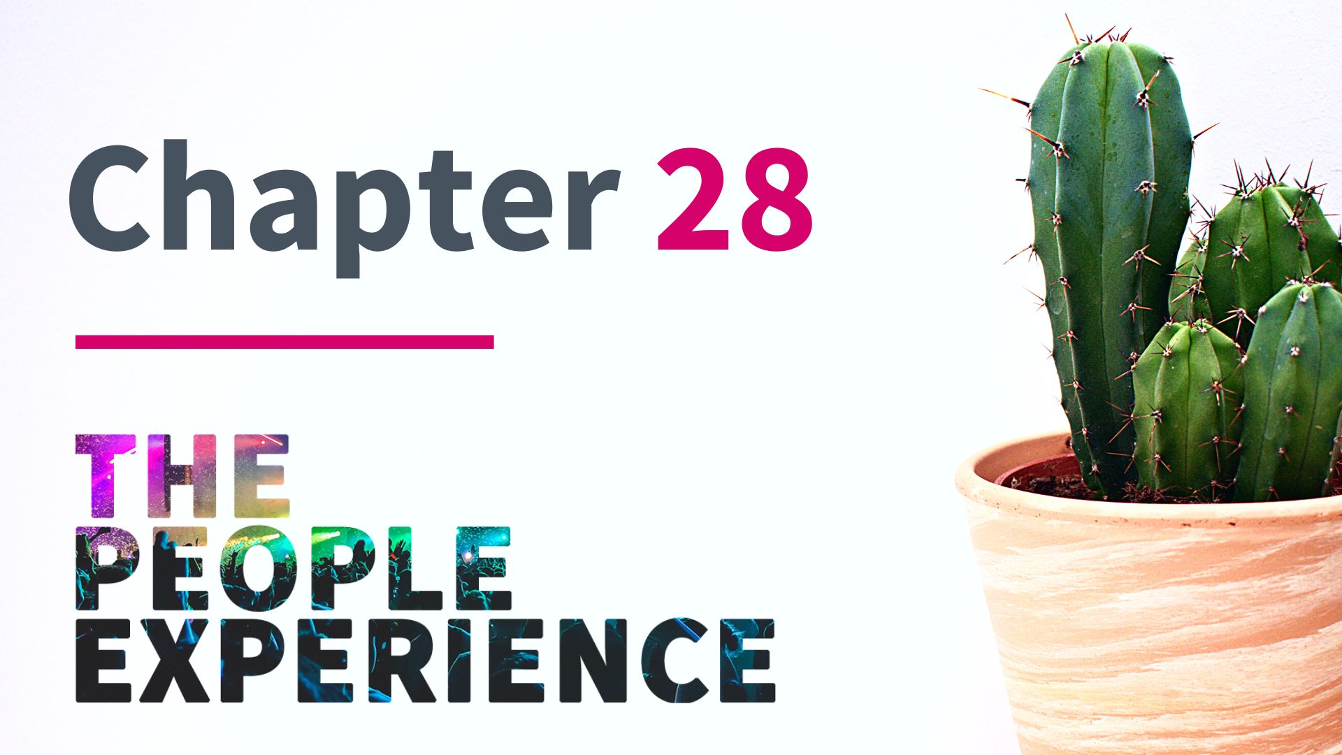 Chapter 28 The People Experience