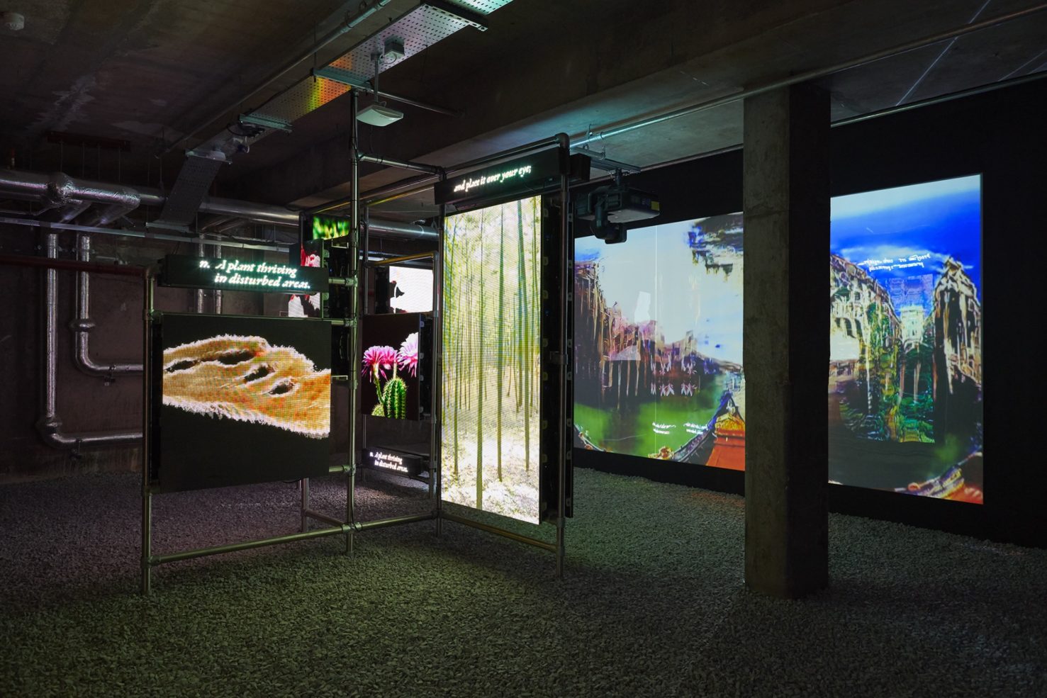dark gallery with photography on screen